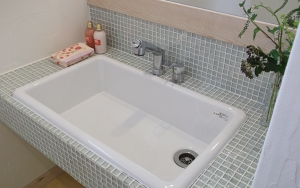 DSCF1500.JPG